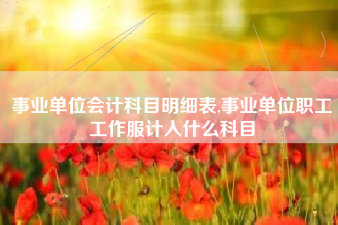事业单位会计科目明细表,事业单位职工工作服计入什么科目