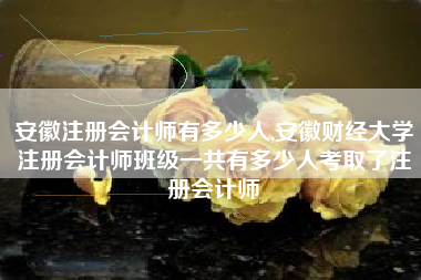 安徽注册会计师有多少人,安徽财经大学注册会计师班级一共有多少人考取了注册会计师