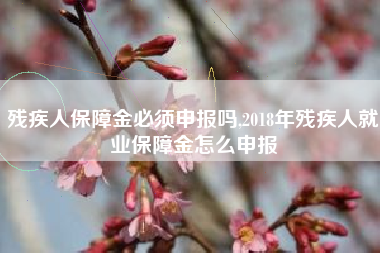 残疾人保障金必须申报吗,2018年残疾人就业保障金怎么申报