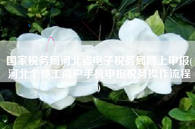 国家税务局河北省电子税务局网上申报(河北个体工商户手机申报税务操作流程
)
