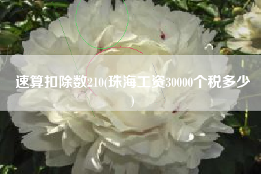 速算扣除数210(珠海工资30000个税多少
)