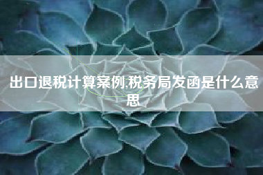 出口退税计算案例,税务局发函是什么意思