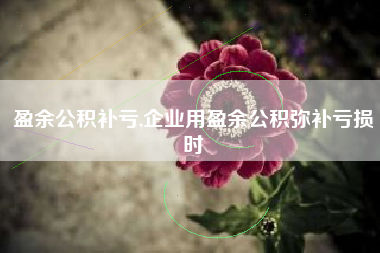 盈余公积补亏,企业用盈余公积弥补亏损时