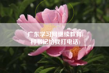 广东学习网继续教育(
村书记给我打电话)