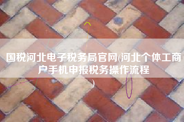 国税河北电子税务局官网(河北个体工商户手机申报税务操作流程
)