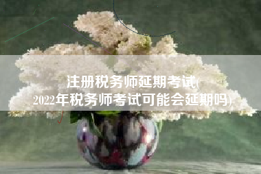 注册税务师延期考试(
2022年税务师考试可能会延期吗)