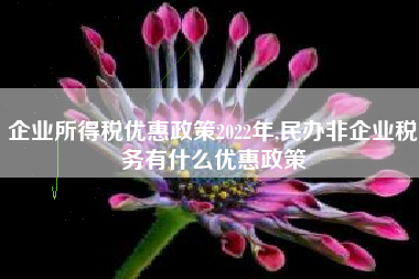 企业所得税优惠政策2022年,民办非企业税务有什么优惠政策