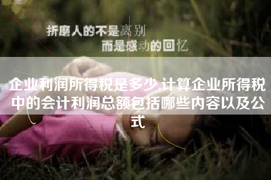企业利润所得税是多少,计算企业所得税中的会计利润总额包括哪些内容以及公式
