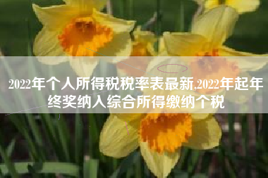 2022年个人所得税税率表最新,2022年起年终奖纳入综合所得缴纳个税