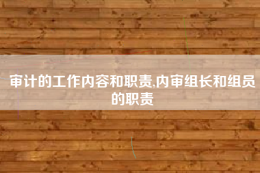 审计的工作内容和职责,内审组长和组员的职责