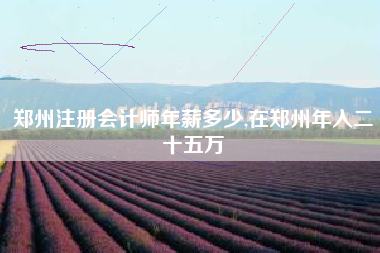 郑州注册会计师年薪多少,在郑州年入二十五万