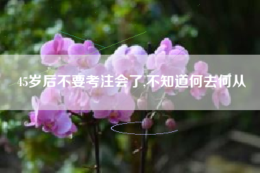 45岁后不要考注会了,不知道何去何从
