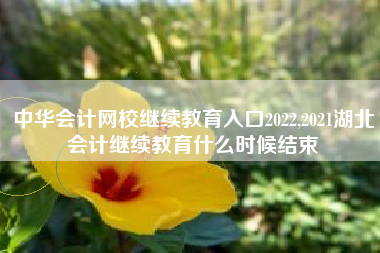 中华会计网校继续教育入口2022,2021湖北会计继续教育什么时候结束