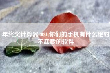 年终奖计算器2021,你们的手机有什么绝对不卸载的软件