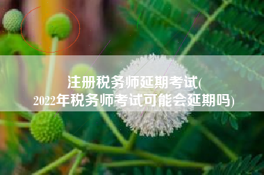 注册税务师延期考试(
2022年税务师考试可能会延期吗)
