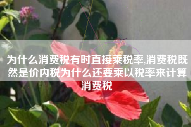 为什么消费税有时直接乘税率,消费税既然是价内税为什么还要乘以税率来计算消费税