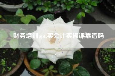 财务培训ppt,买会计实操课靠谱吗