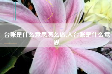 台账是什么意思怎么做,入台账是什么意思