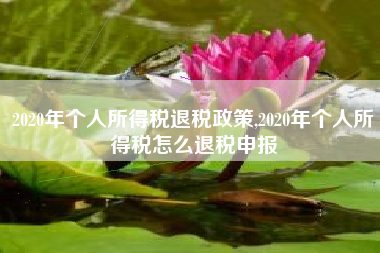 2020年个人所得税退税政策,2020年个人所得税怎么退税申报