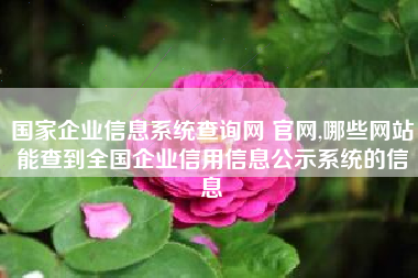 国家企业信息系统查询网 官网,哪些网站能查到全国企业信用信息公示系统的信息