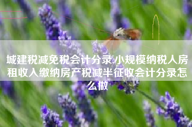 城建税减免税会计分录,小规模纳税人房租收入缴纳房产税减半征收会计分录怎么做