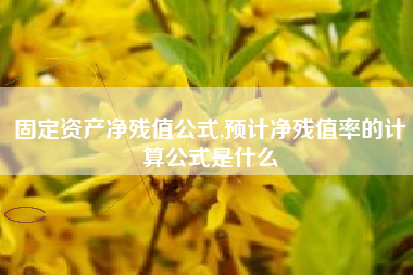 固定资产净残值公式,预计净残值率的计算公式是什么