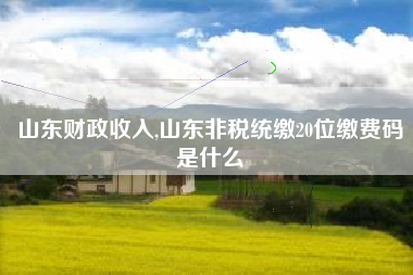 山东财政收入,山东非税统缴20位缴费码是什么