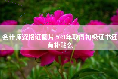 会计师资格证图片,2021年取得初级证书还有补贴么