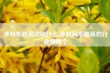 净利率越高说明什么,净利润率最高的行业是哪个