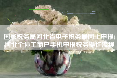 国家税务局河北省电子税务局网上申报(河北个体工商户手机申报税务操作流程
)