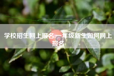 学校招生网上报名,一年级新生如何网上报名