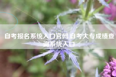 自考报名系统入口官网,自考大专成绩查询系统入口