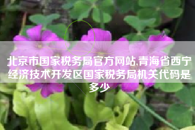 北京市国家税务局官方网站,青海省西宁经济技术开发区国家税务局机关代码是多少