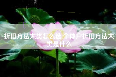 折旧方法大类怎么选,个体户折旧方法大类是什么