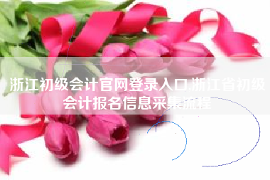 浙江初级会计官网登录入口,浙江省初级会计报名信息采集流程
