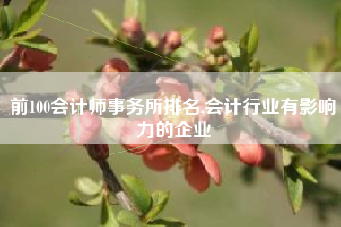 前100会计师事务所排名,会计行业有影响力的企业