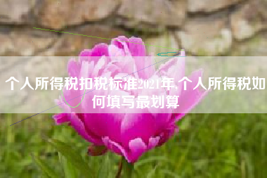 个人所得税扣税标准2021年,个人所得税如何填写最划算