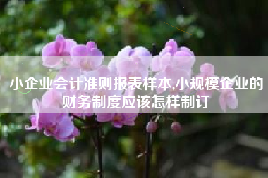 小企业会计准则报表样本,小规模企业的财务制度应该怎样制订