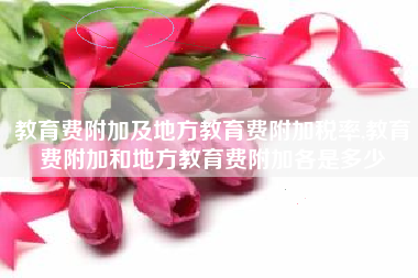 教育费附加及地方教育费附加税率,教育费附加和地方教育费附加各是多少