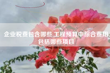 企业税费包含哪些,工程预算中综合费用包括哪些项目