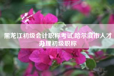 黑龙江初级会计职称考试,哈尔滨市人才办理初级职称