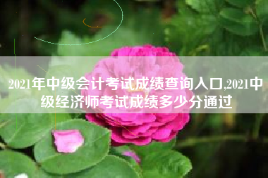 2021年中级会计考试成绩查询入口,2021中级经济师考试成绩多少分通过