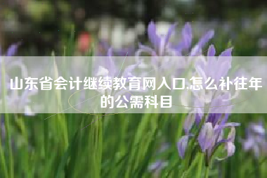 山东省会计继续教育网入口,怎么补往年的公需科目