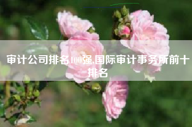 审计公司排名100强,国际审计事务所前十排名