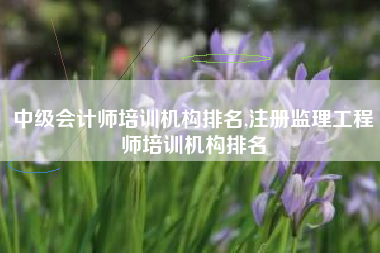 中级会计师培训机构排名,注册监理工程师培训机构排名