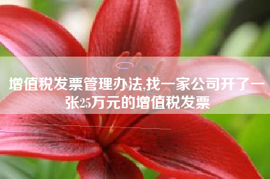 增值税发票管理办法,找一家公司开了一张25万元的增值税发票
