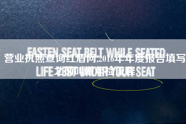 营业执照查询红盾网,2016年年度报告填写之前叫做年检流程