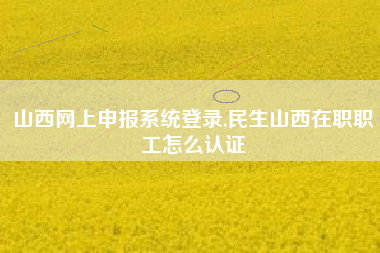 山西网上申报系统登录,民生山西在职职工怎么认证