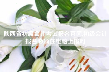 陕西省初级会计考试报名官网,初级会计报名必须在电脑上报吗