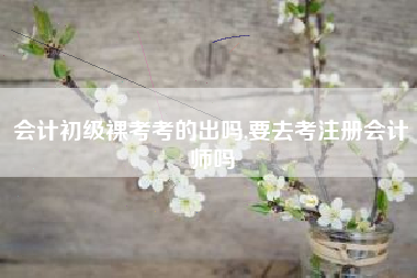 会计初级裸考考的出吗,要去考注册会计师吗